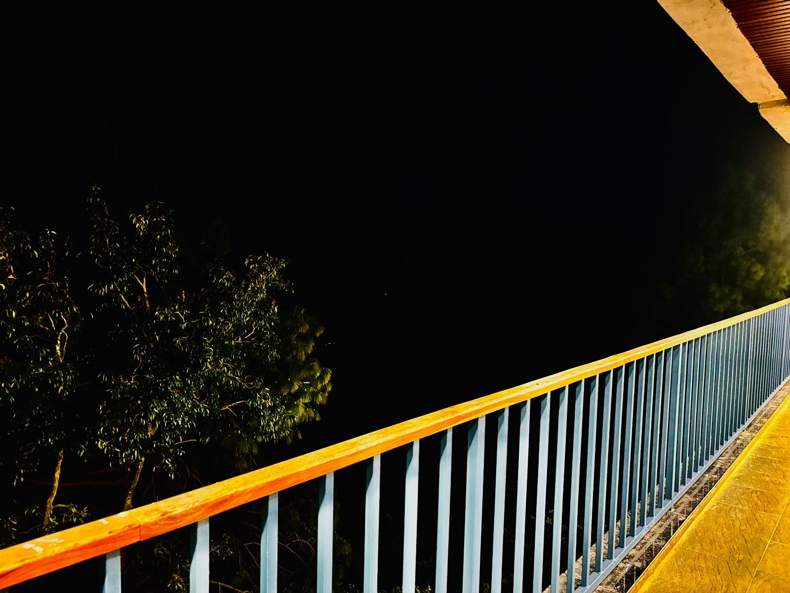 Nainital Property 16